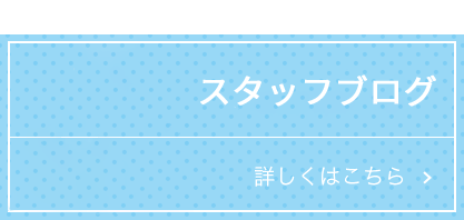 スタッフブログ